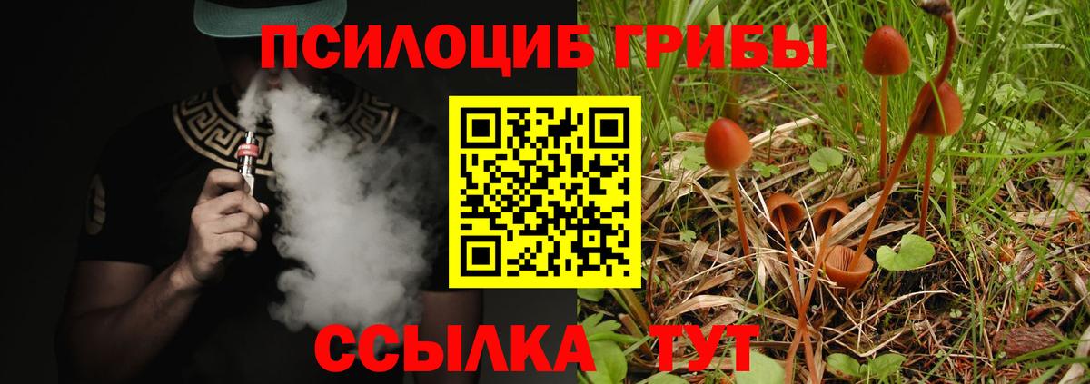 Псилоцибиновые грибы мухоморы  Псилоцибиновые грибы Cubensis  Вход с VPN  Махачкала 